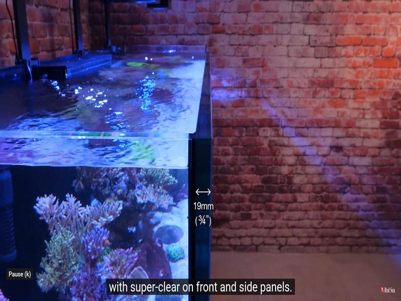 Marine FishTank Carousel 6