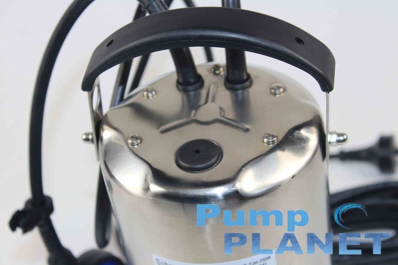 WINTER SALE! 750W STAINLESS STEEL WATERING Pump Carousel 3