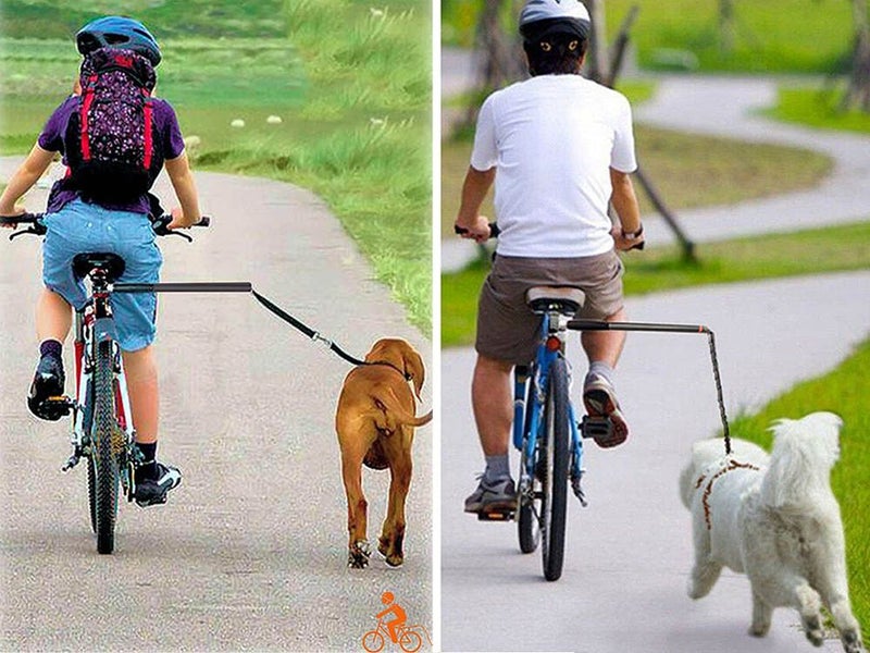 PTN NEW Dog Bike Leash Sale Sale Sale Carousel 10