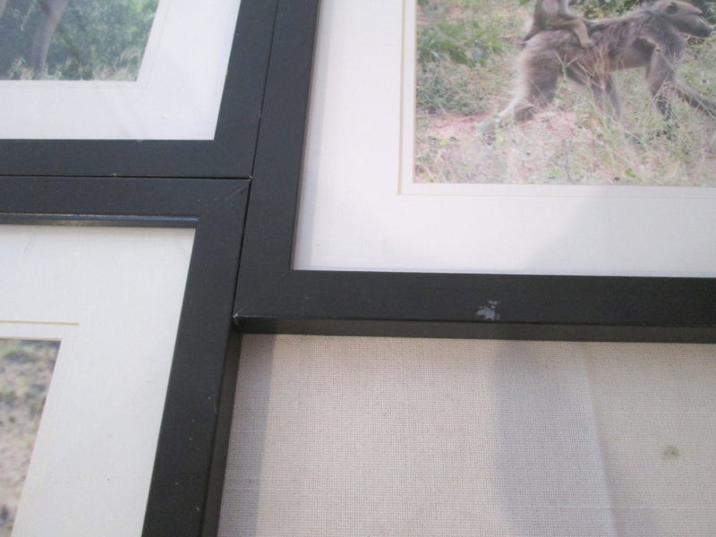 Set of Four Framed Animal Prints Carousel 2