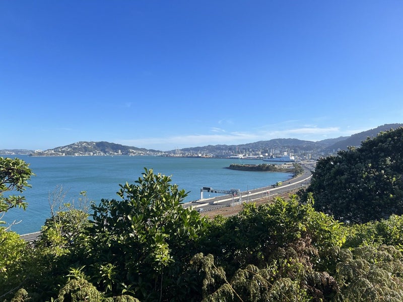 Image 1 of 13