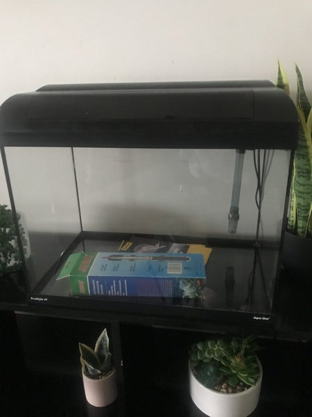 Fish tank Carousel 1