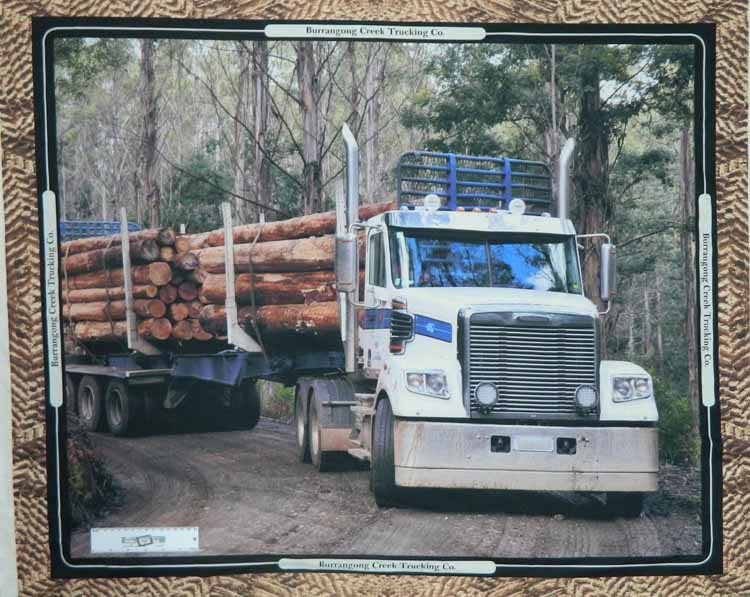 Patchwork Quilting Sewing Fabric Logging Truck Panel 90x110cm Carousel 1