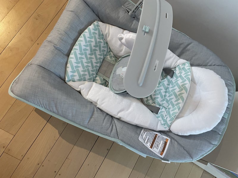 Baby Bouncer and rocker seat Carousel 2