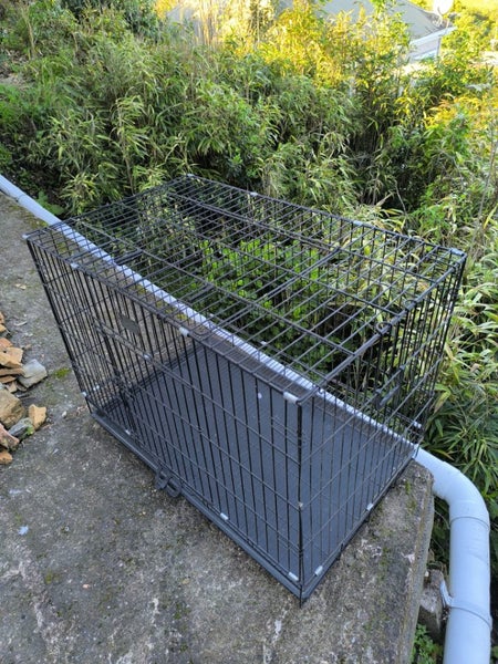 Large Pet Cage Carousel 1