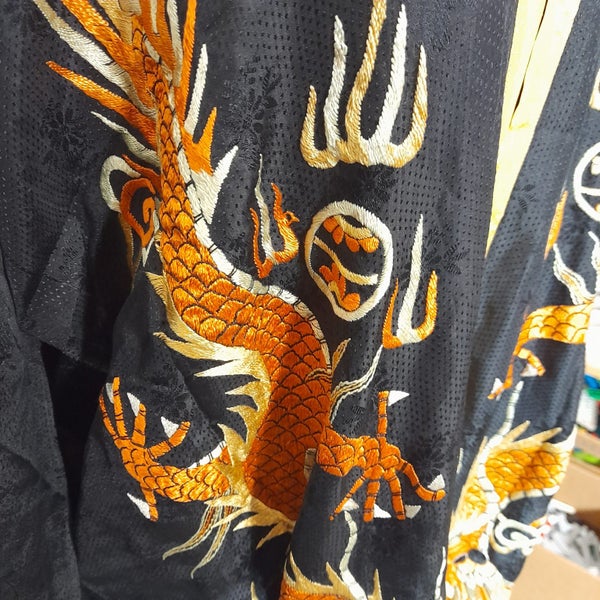Fabulous Chinese robe/jacket Carousel 7