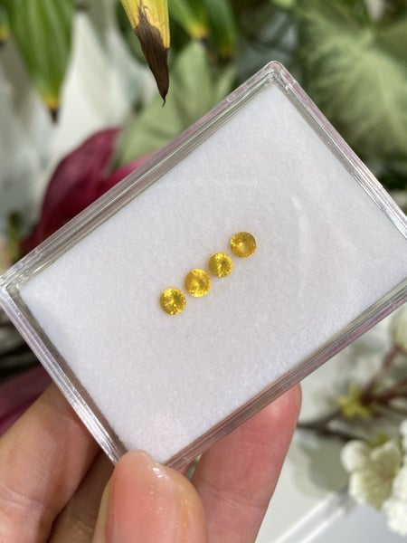 $1 RES ~ Buy Now $2200 * 1.17ct Vivid Yellow Sapphire Layout | Sri Lanka Origin Carousel 1