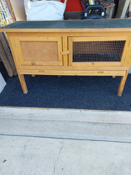 Guinea Pig Hatch Carousel 1
