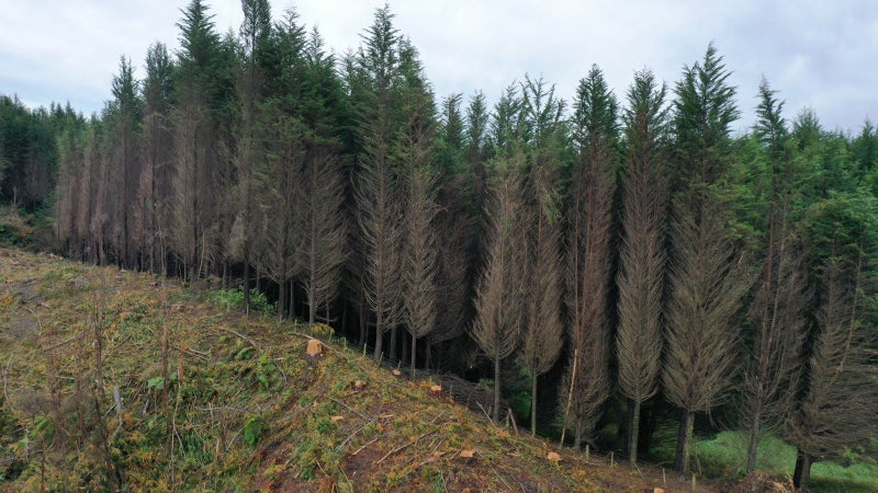 Image 2 of 6