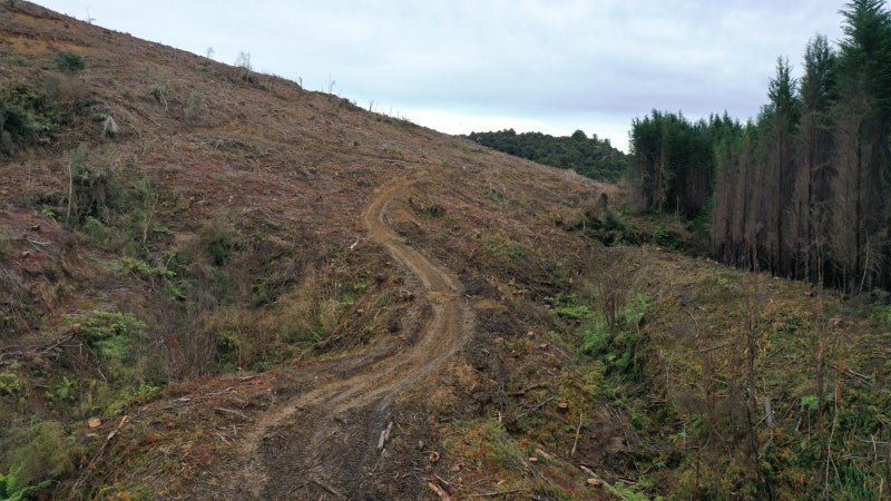 Image 3 of 6