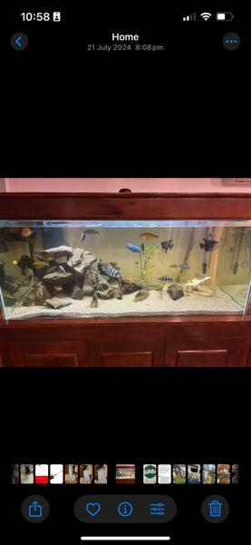 Large fish tank. 540L - 1500mm x 600mm x 600mm Carousel 1