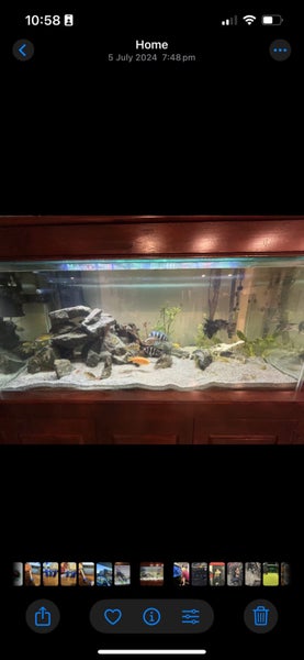 Large fish tank. 540L - 1500mm x 600mm x 600mm Carousel 2