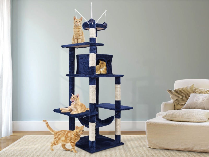 Cat Tree Carousel 2