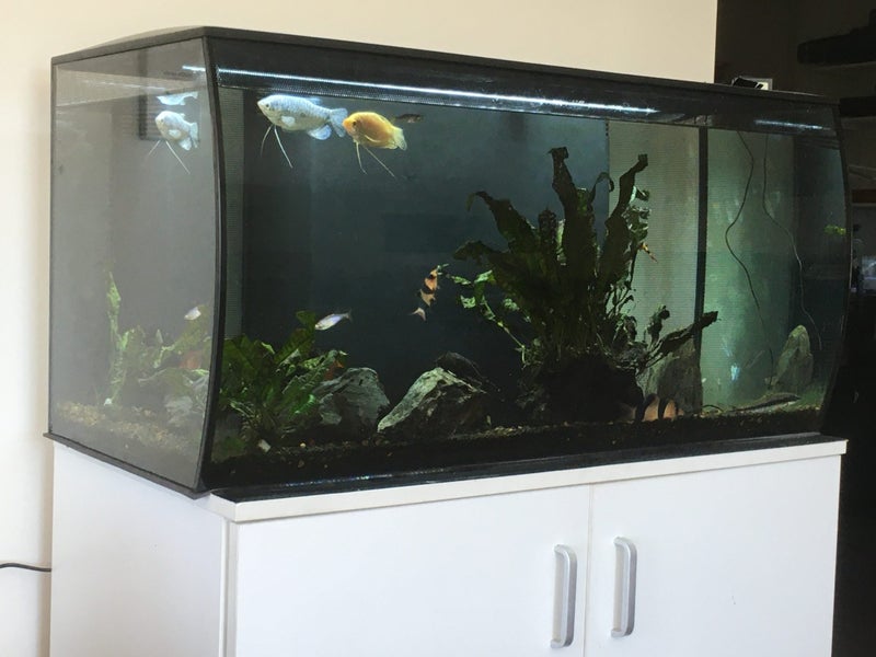 FLUVAL FLEX 123ltr Aquarium Carousel 1