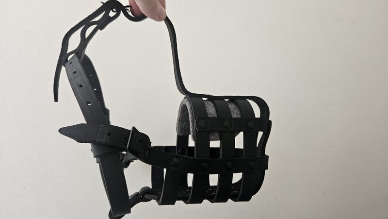 Leather Dog Muzzle Carousel 1