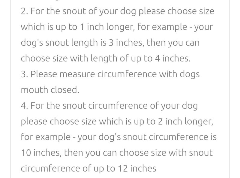 Leather Dog Muzzle Carousel 9