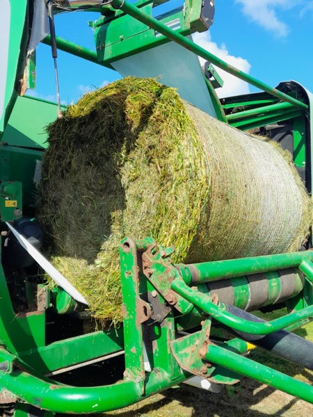 Silage bales Carousel 1