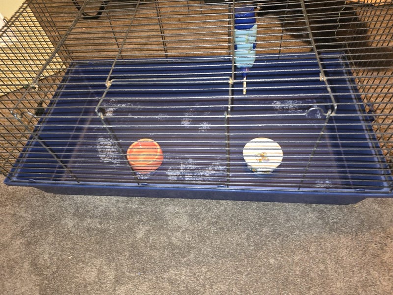 Guinea pig/rodent/small animal cage/small rabbit indoor cage Carousel 2