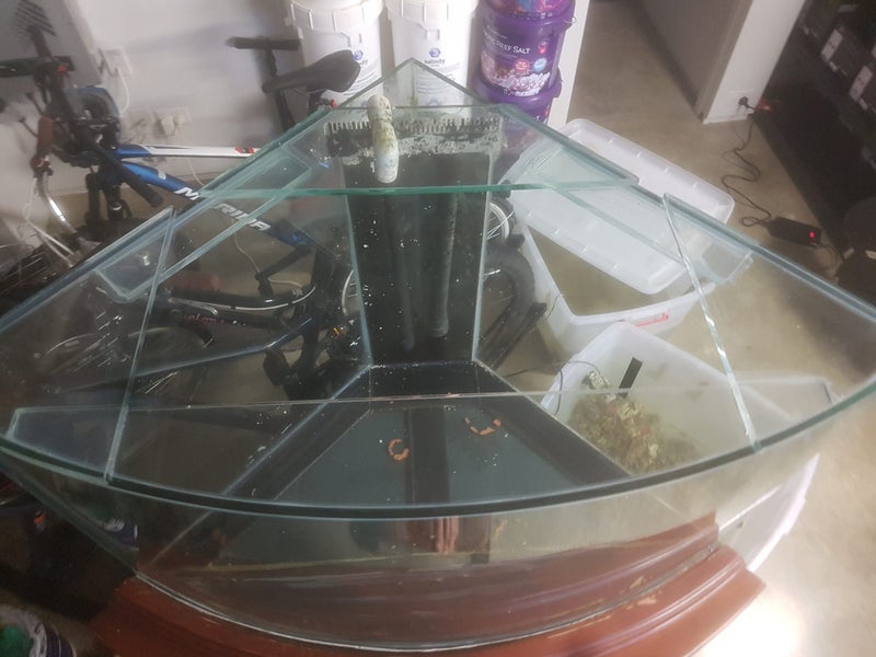 Marine Aquarium 300 litres Carousel 3