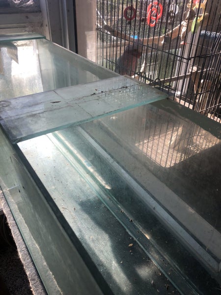 Fish tank Carousel 2