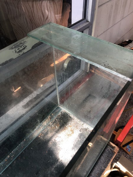 Fish tank Carousel 3