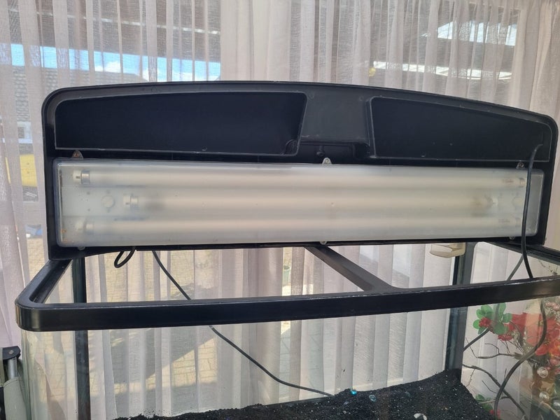 Aquarium full set-up. Carousel 2