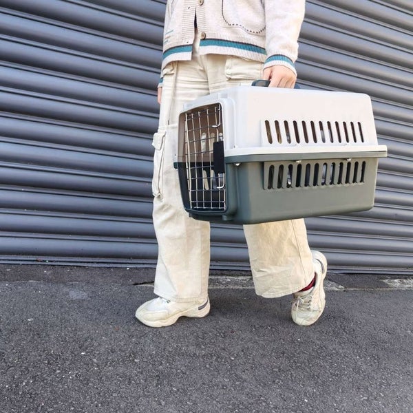 Pet Carrier Mdium 48cmx32cmx30cm Carousel 1