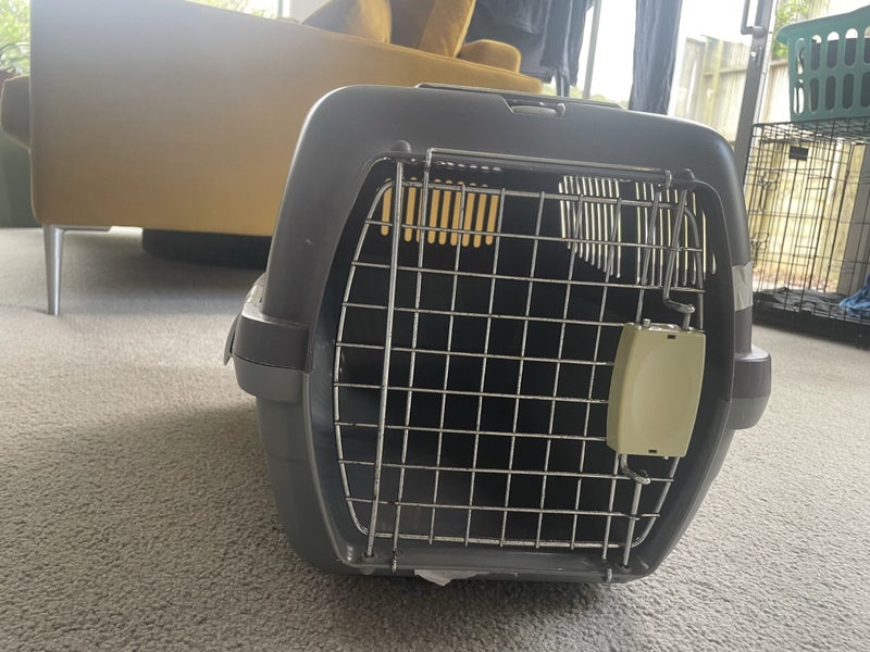 Cat cage Carousel 1