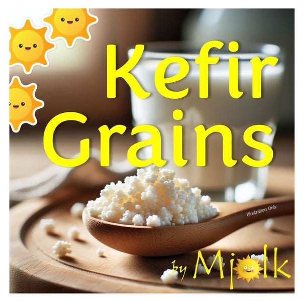 Kefir Grains in a Straining Bag Carousel 1