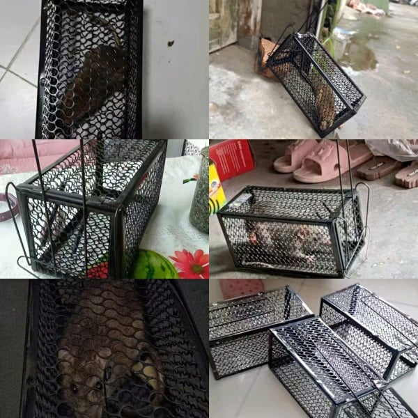 Mouse Rat Trap NZ Clearance Sale Carousel 7