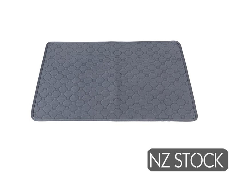 PTN NEW Dog Pee Pad Sale Sale Carousel 2