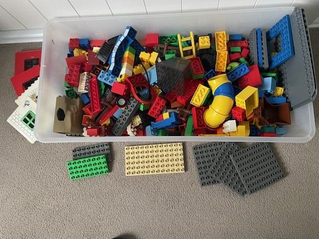 LEGO DUPLO MIXED CONTAINER Carousel 1