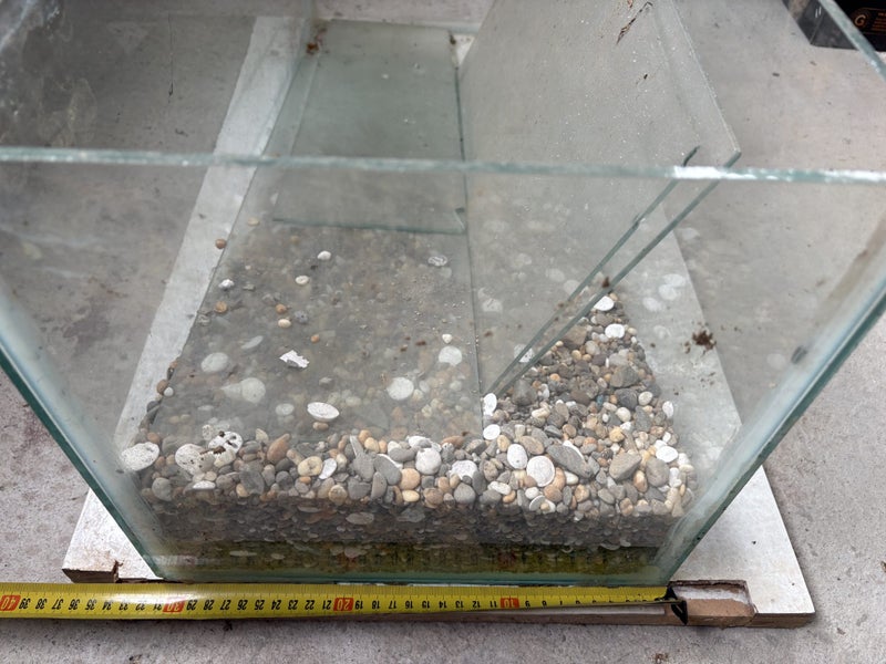 Old Glass Fish Tank Carousel 2