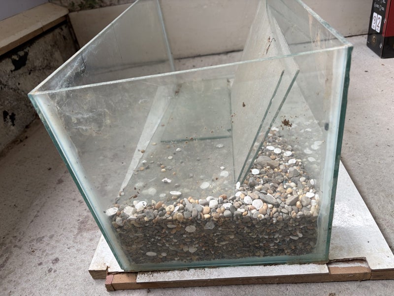 Old Glass Fish Tank Carousel 3