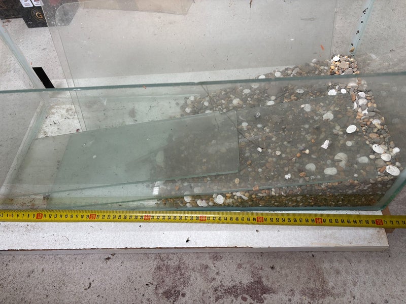 Old Glass Fish Tank Carousel 1