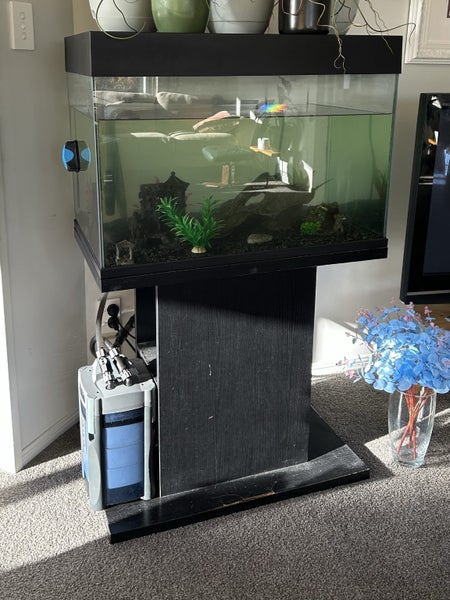 fish tank Carousel 3