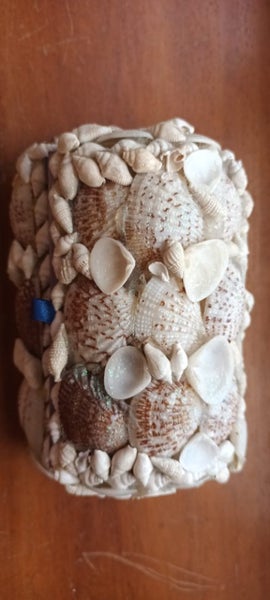 Handmade Shell Jewellery Box Carousel 1