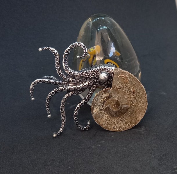 Ammonite fossil brooch Carousel 1