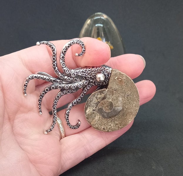 Ammonite fossil brooch Carousel 2