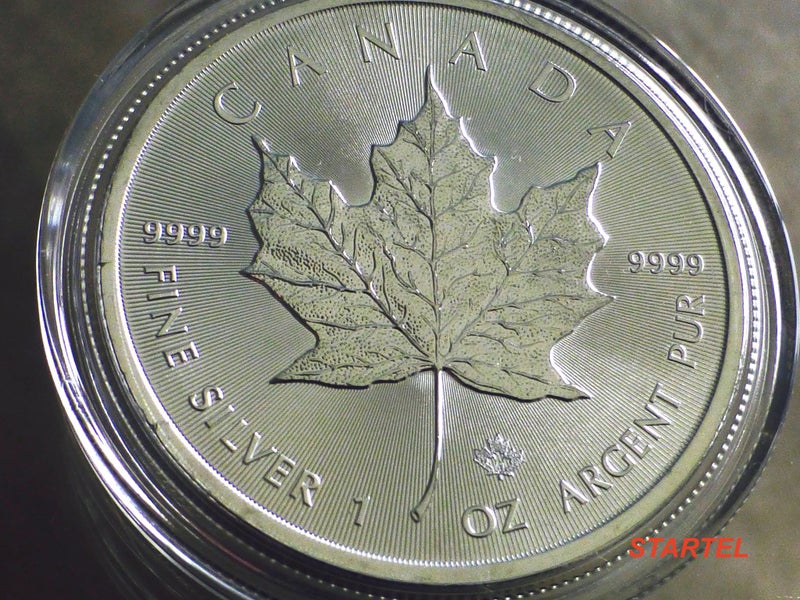 2019 Canadian Maple 1 Oz silver bullion coin Carousel 1