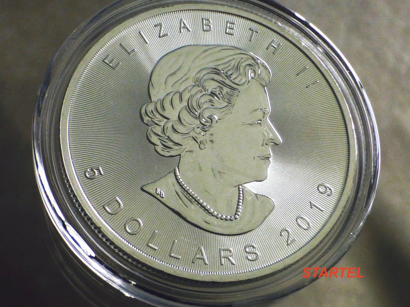 2019 Canadian Maple 1 Oz silver bullion coin Carousel 2