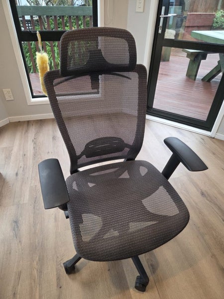 Ergonomic chair Carousel 1