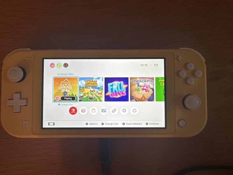 NINTENDO SWITCH LITE Carousel 4