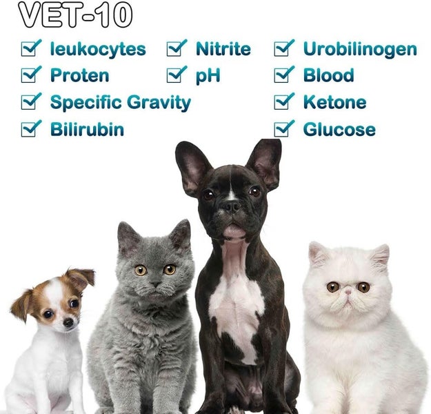 Cat & Dog Urine Test Strips 100pcs64446716155267112