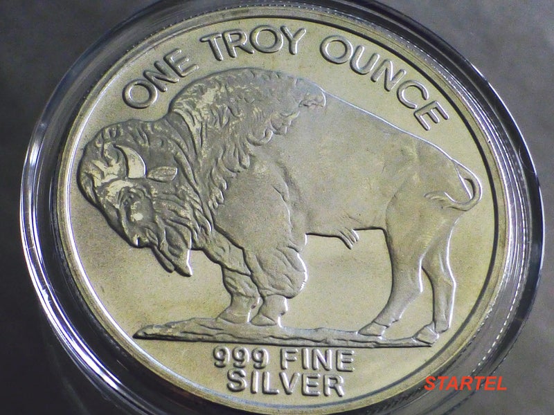 2013 American Buffalo/Indian Head 1 Oz silver bullion Carousel 2