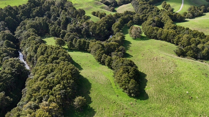 Well Positioned Sheep & Beef Farm 235ha62865845075202111