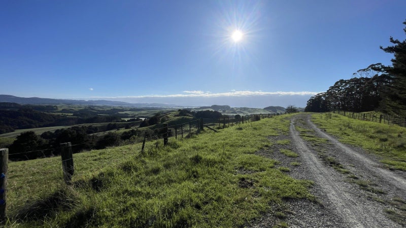 Well Positioned Sheep & Beef Farm 235ha62865845075202113