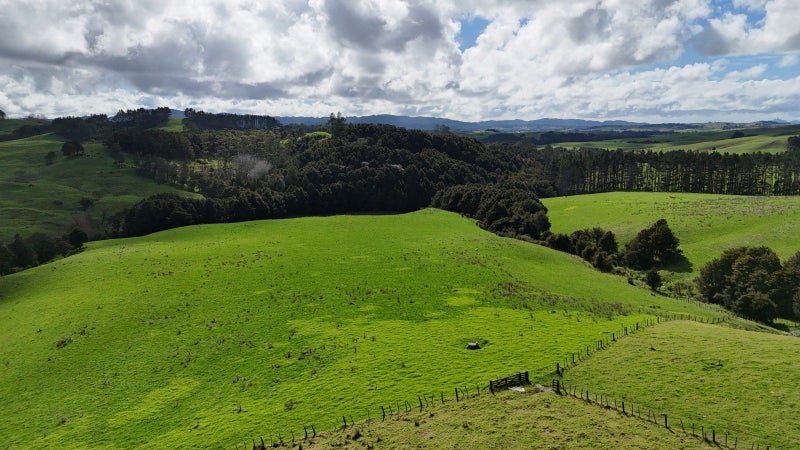 Well Positioned Sheep & Beef Farm 235ha62865845075202114