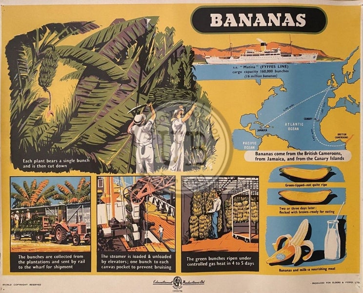 VINTAGE POSTER: Bananas - How they are Grown and Sold 1950s Carousel 1