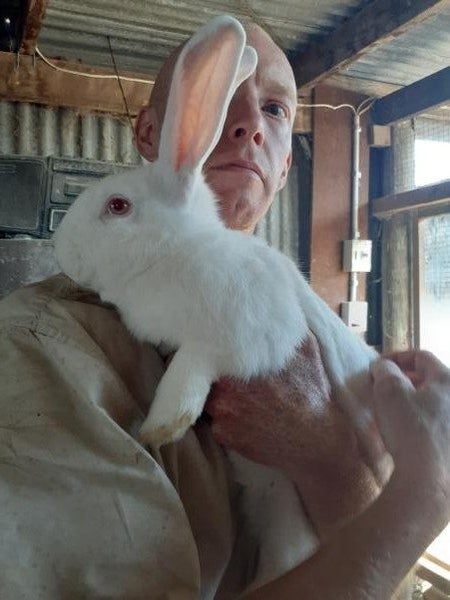 NZ White Rabbits Carousel 2
